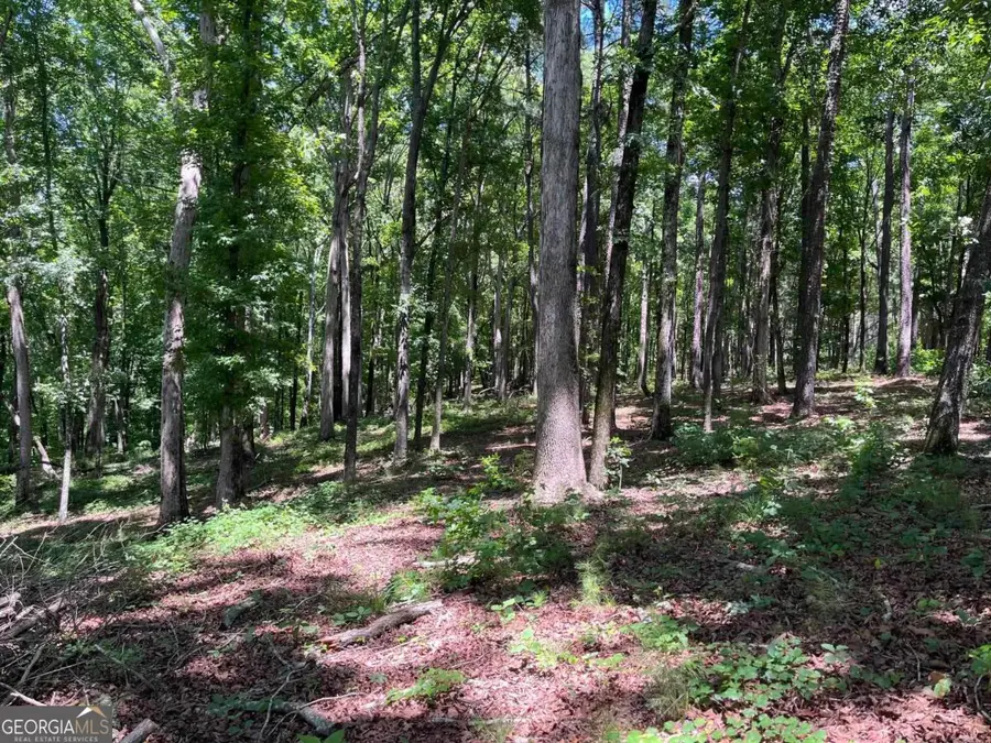 LOTS 1 & 2 Pullman Lane, Greensboro, GA 30642 - #3