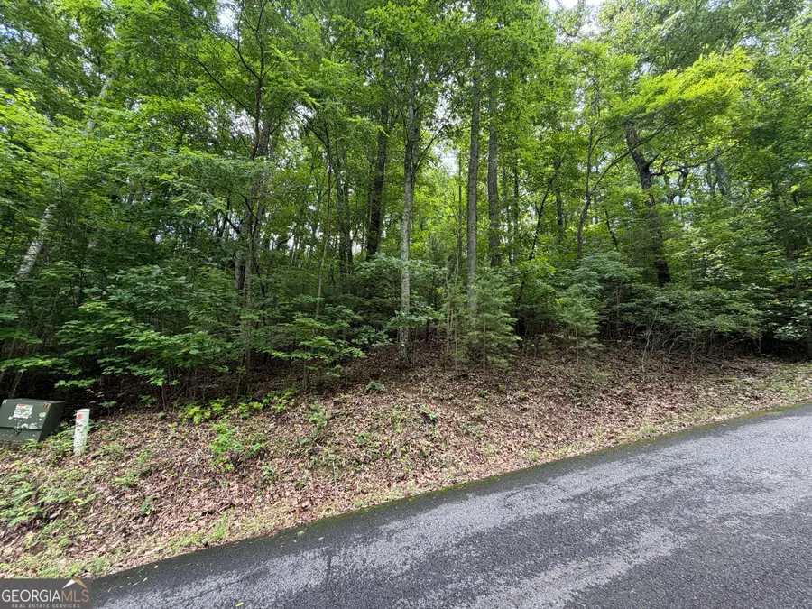 LOT 7 Mill Ridge Road, Hiawassee, GA 30546 - #2