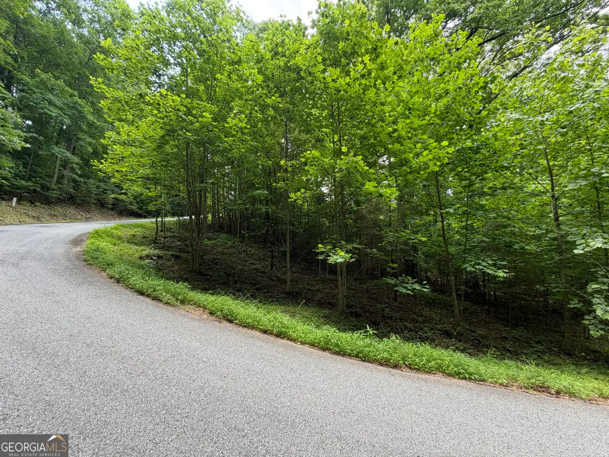 LOT 19 Mill Ridge Rd, Hiawassee, GA 30546 - #1