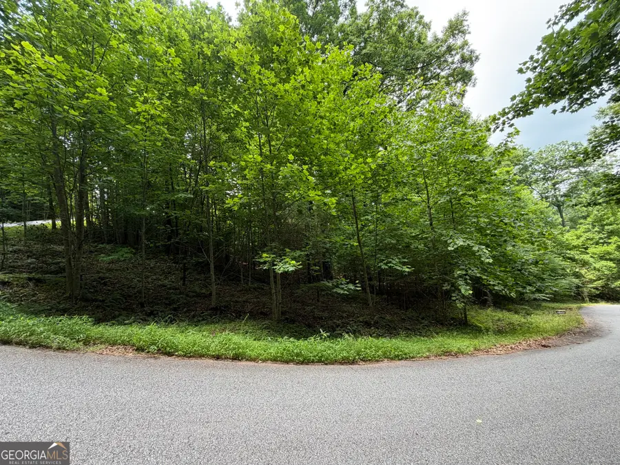 LOT 19 Mill Ridge Rd, Hiawassee, GA 30546 - #2