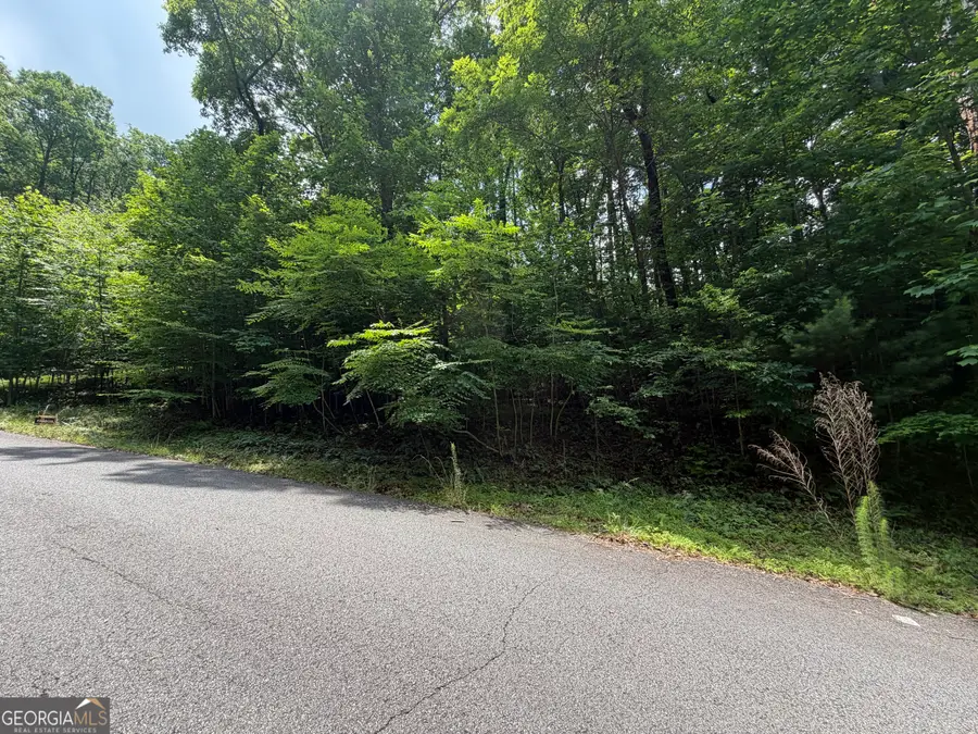 LOT 19 Mill Ridge Rd, Hiawassee, GA 30546 - #3