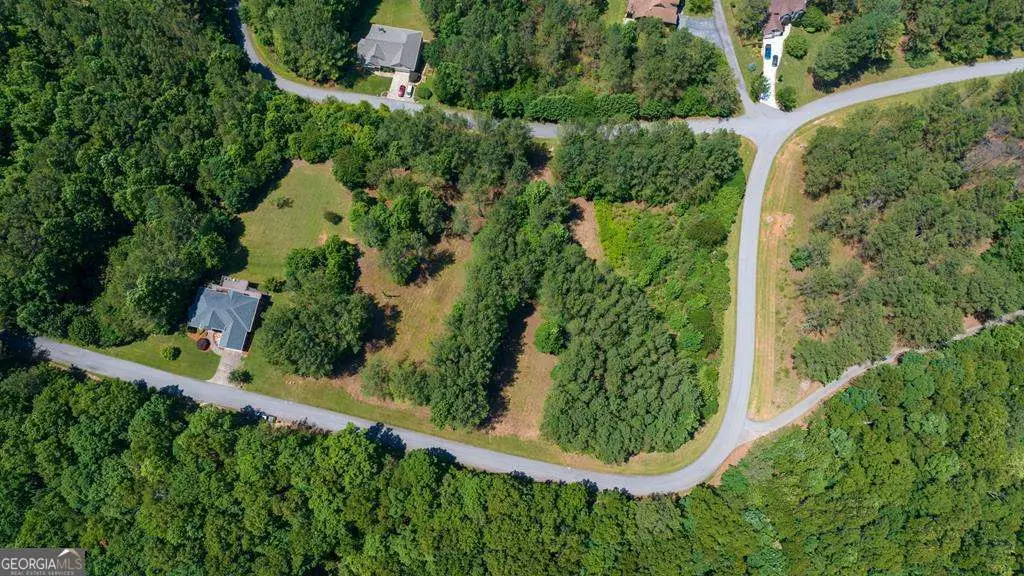 LOT 20 Loftis Mountain, Blairsville, GA 30512 - #1