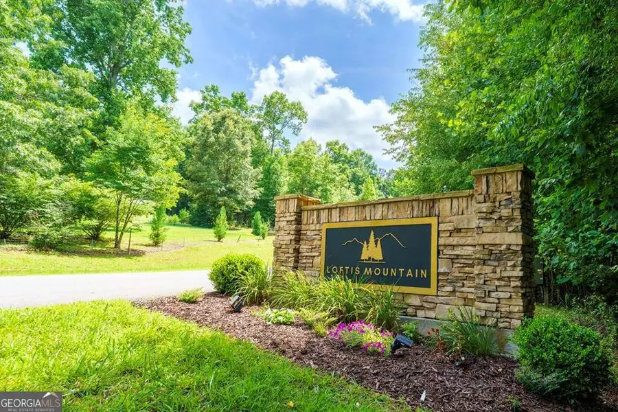 LOT 21 Loftis Mountain, Blairsville, GA 30512 - #3