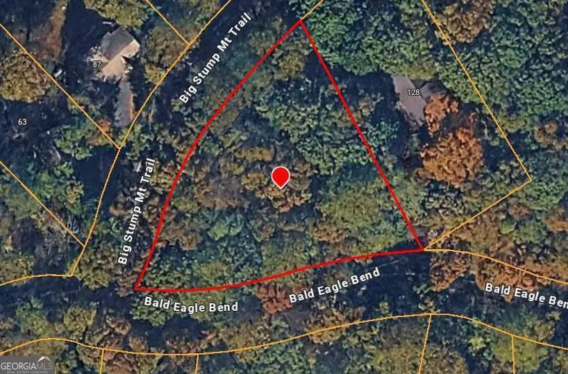0 Big Stump Mountain Trail, Jasper, GA 30143 - #1