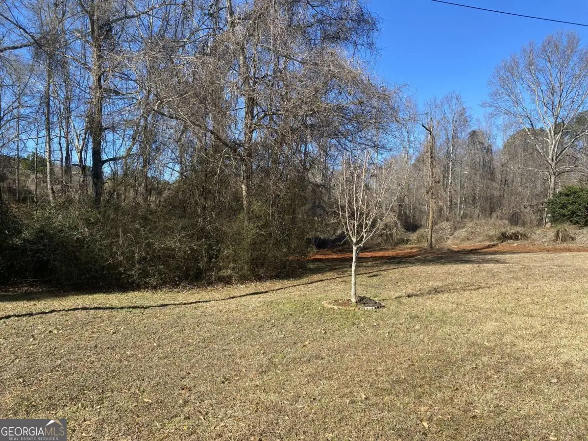 0 Hannah Court #LOT 10, Barnesville, GA 30204 - #1