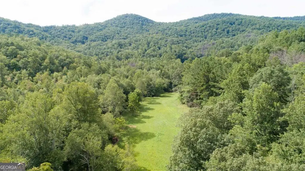 0 Highway 246, Dillard, GA 30537 - #1