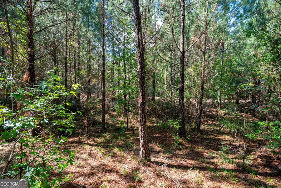2 Brewer's Bridge Road, Elberton, GA 30635 - #2