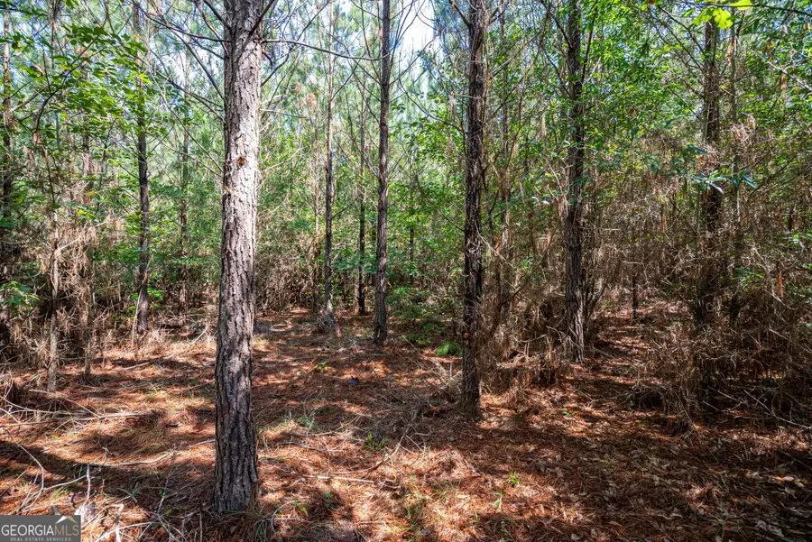 2 Brewer's Bridge Road, Elberton, GA 30635 - #3
