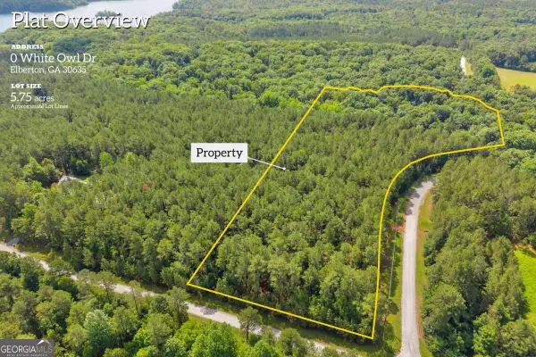 0 White Owl Drive, Elberton, GA 30635