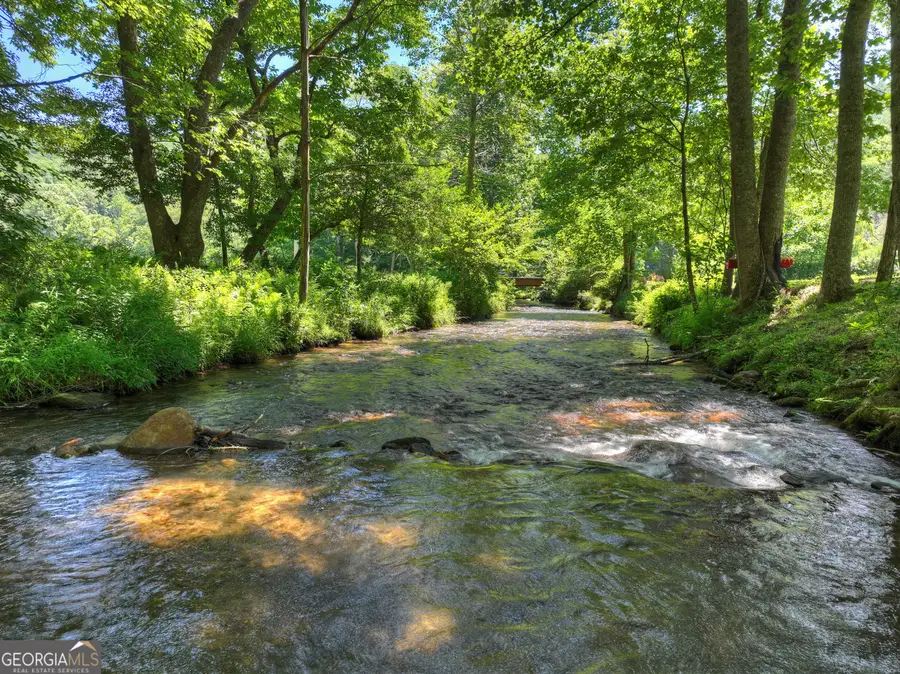 2628 Big Creek Road, Cherry Log, GA 30522 - #3