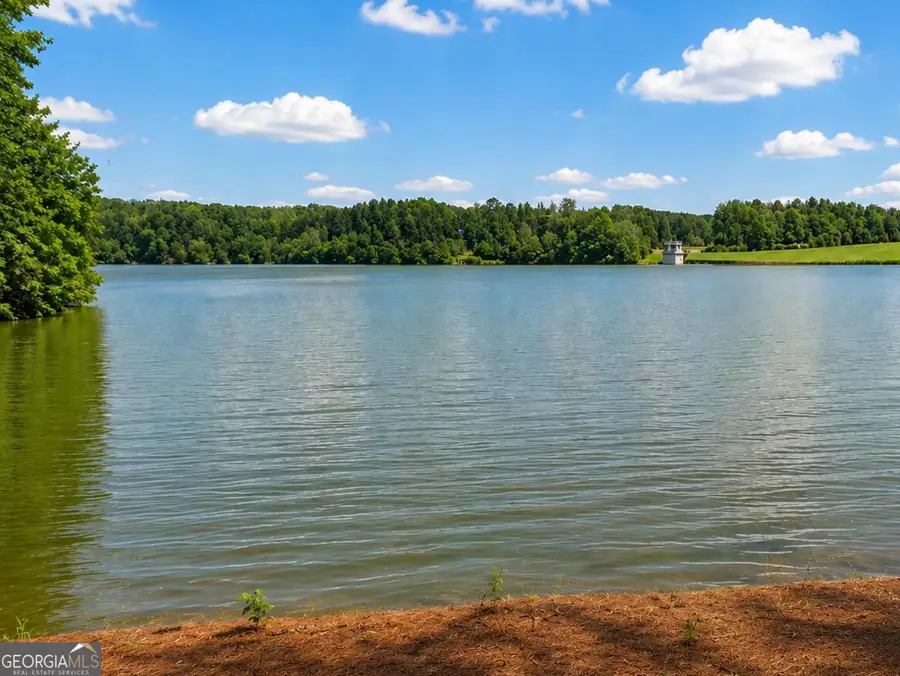 79 Driftwood Court, Newnan, GA 30263 - #3