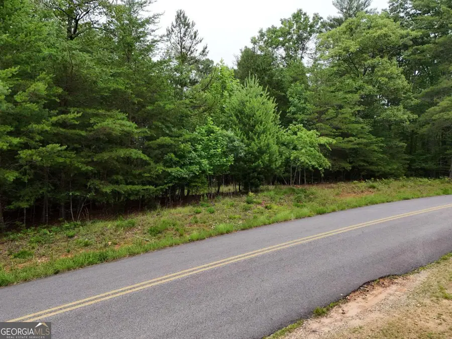LOT 3 Cook Henry Road, Blairsville, GA 30512 - #2