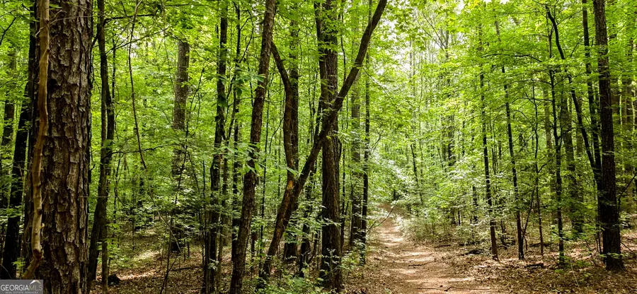 NORTH OF 428 Padgett Rd, Senoia, GA 30276 - #2