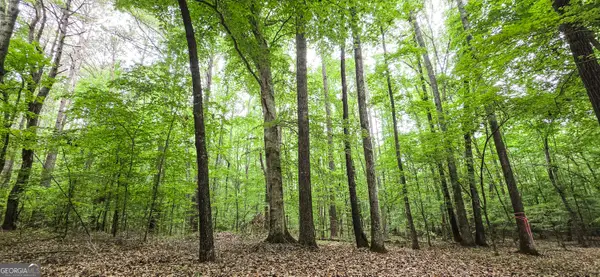 0 Padgett Road, Senoia, GA 30276