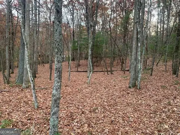 LOT 4 Courtney Lane, Blairsville, GA 30512