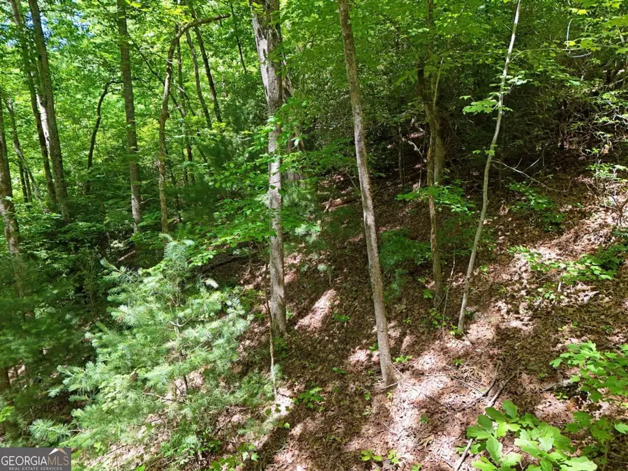 LOT 12 Hightower Ridge, Hiawassee, GA 30546 - #2
