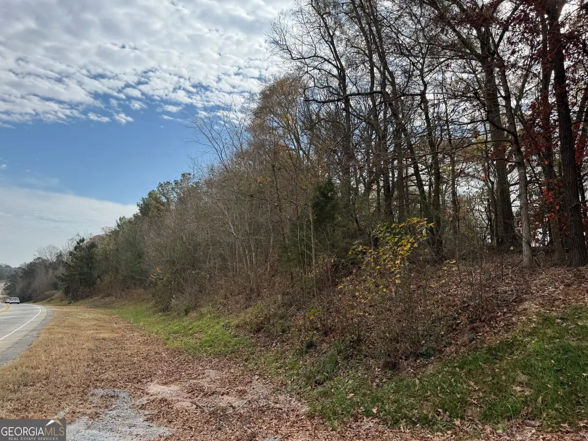 3439 TRACT 1 Providence Church Road, Hartwell, GA 30643 - #1