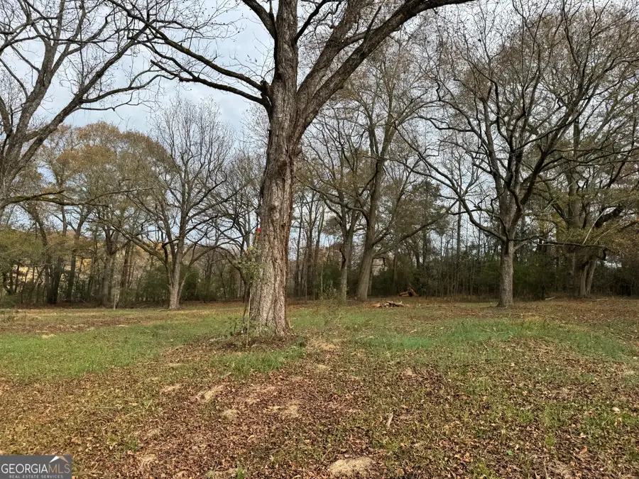 3439 TRACT 2 Providence Church Road, Hartwell, GA 30643 - #2