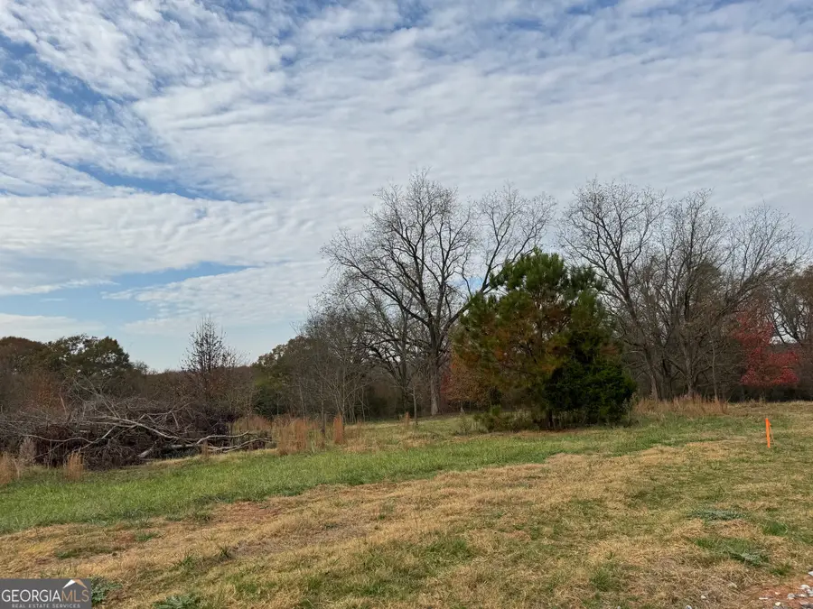 3439 TRACT 6 Providence Church Road, Hartwell, GA 30643 - #2