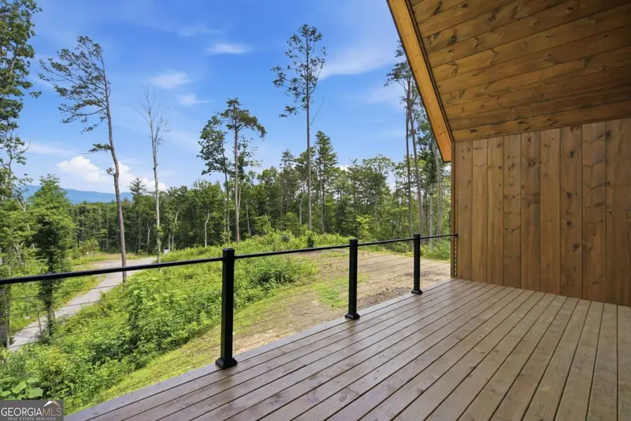 1705 Old Northcutt Road, Ellijay, GA 30540 - #2