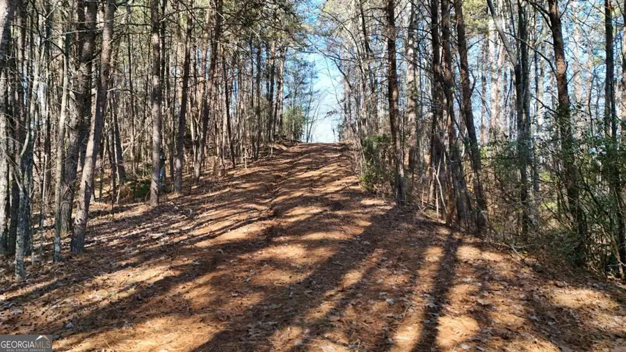 LOT 1 Gold Valley Road, Sautee Nacoochee, GA 30571 - #2