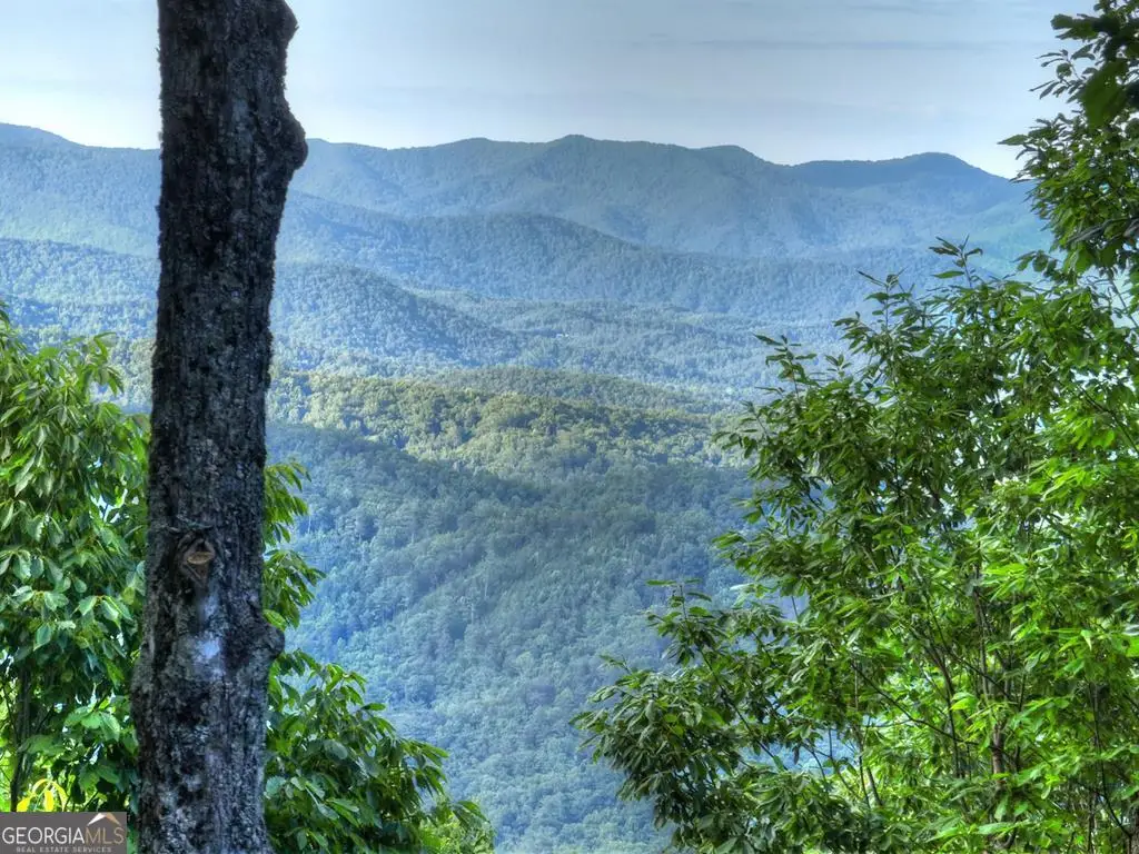 35 Utana Bluff Trails, Ellijay, GA 30540 - #1