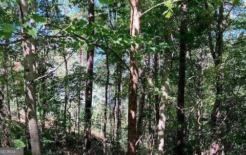 LOT 140 Red Oak Trail #140, Ellijay, GA 30540