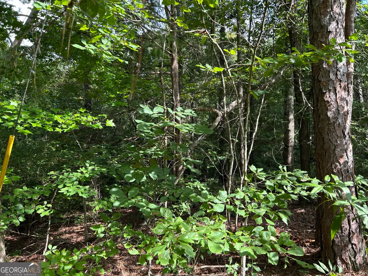0 County Road 329, Wedowee, AL 36278 - #1