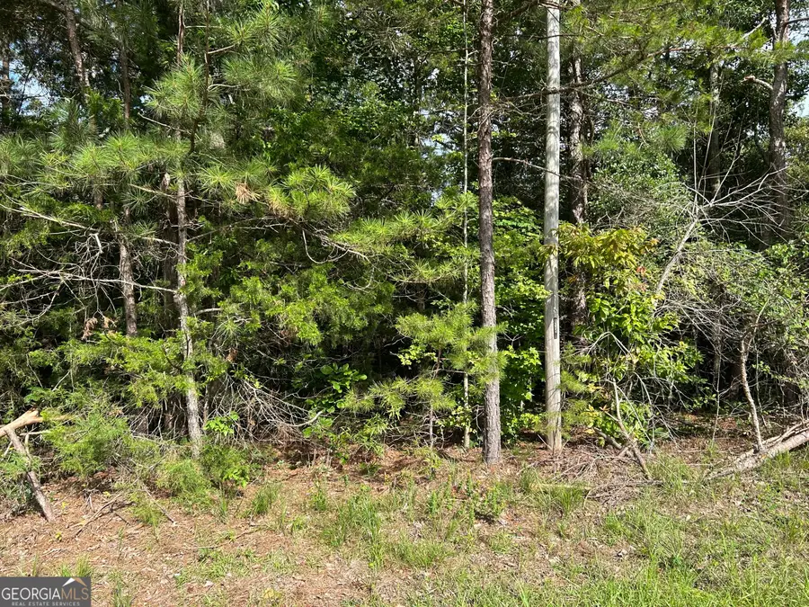 0 County Road 329, Wedowee, AL 36278 - #3