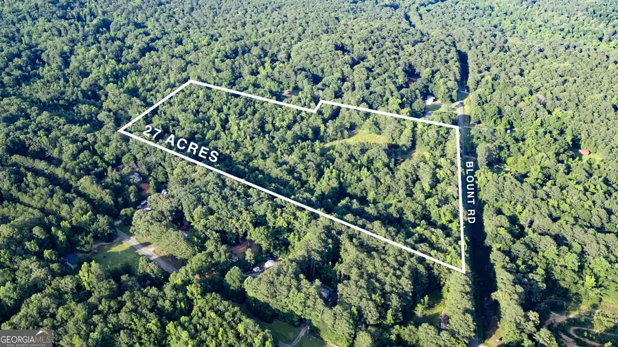 1073 Blount Road, Jackson, GA 30233 - #3