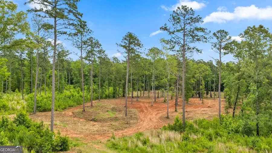 41 Pine Meadow Trail, Forsyth, GA 31029 - #2