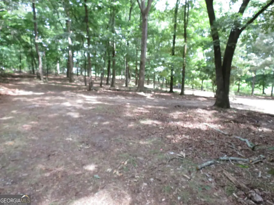 343 Shadow Mtn Lane, Cleveland, GA 30528 - #2