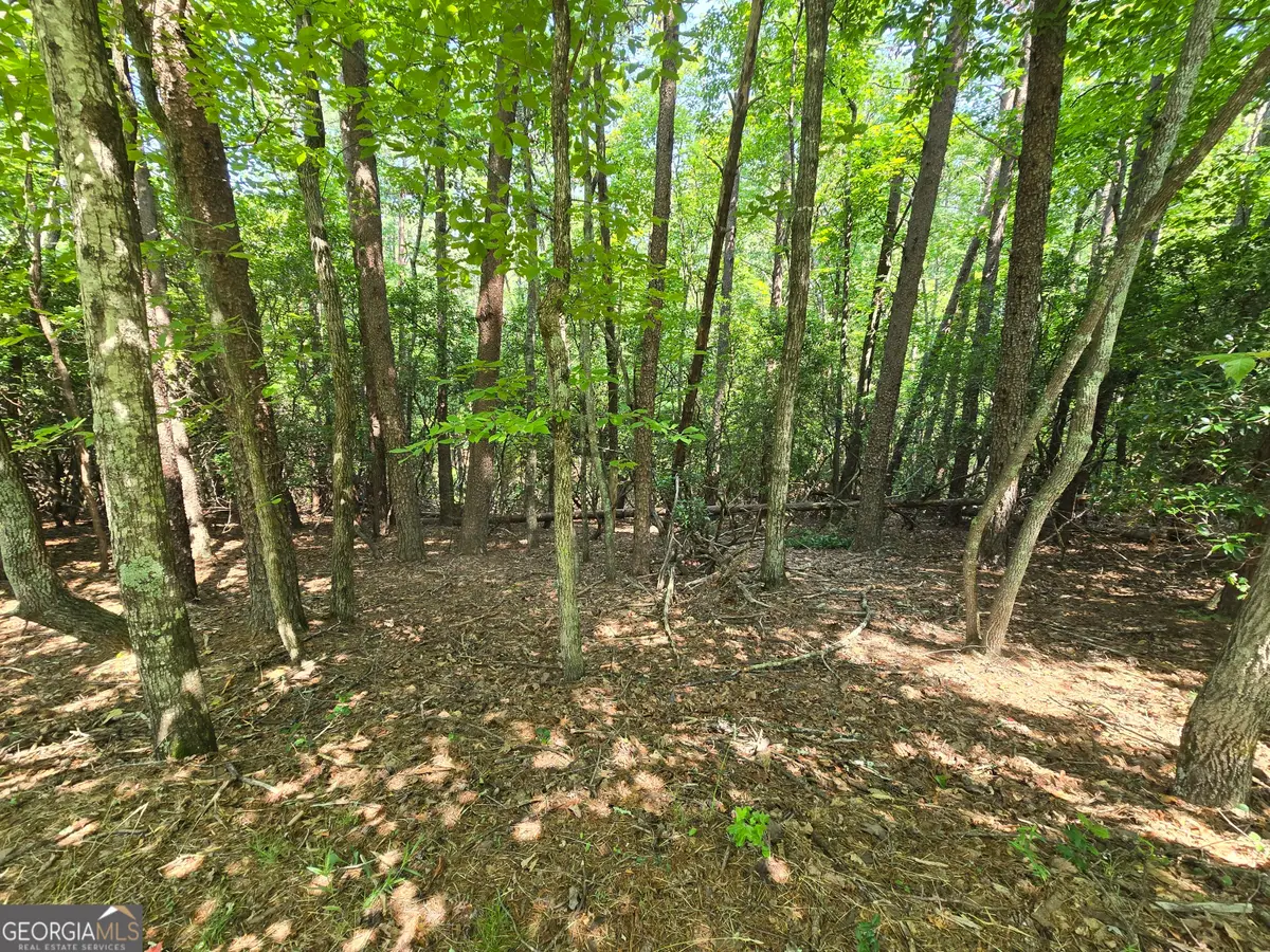 C2 Quail Run, Sautee Nacoochee, GA 30571 - #1