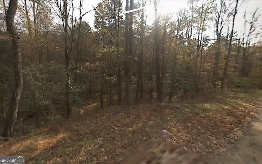 900 Valley Drive, Ellijay, GA 30536 - #2