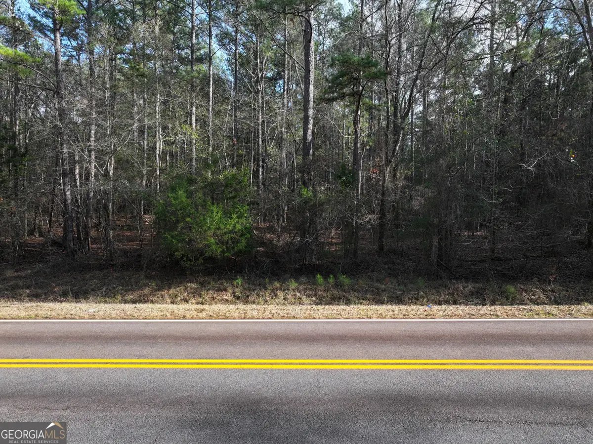 LOT 3 Salem Road, Pine Mountain, GA 31822 - #1