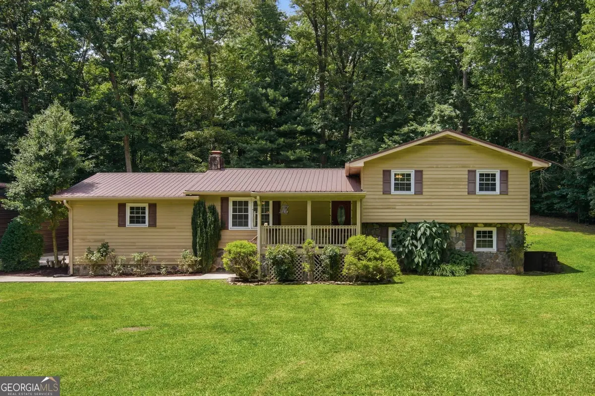 2982 W State Rte 382, Ellijay, GA 30540 - #1