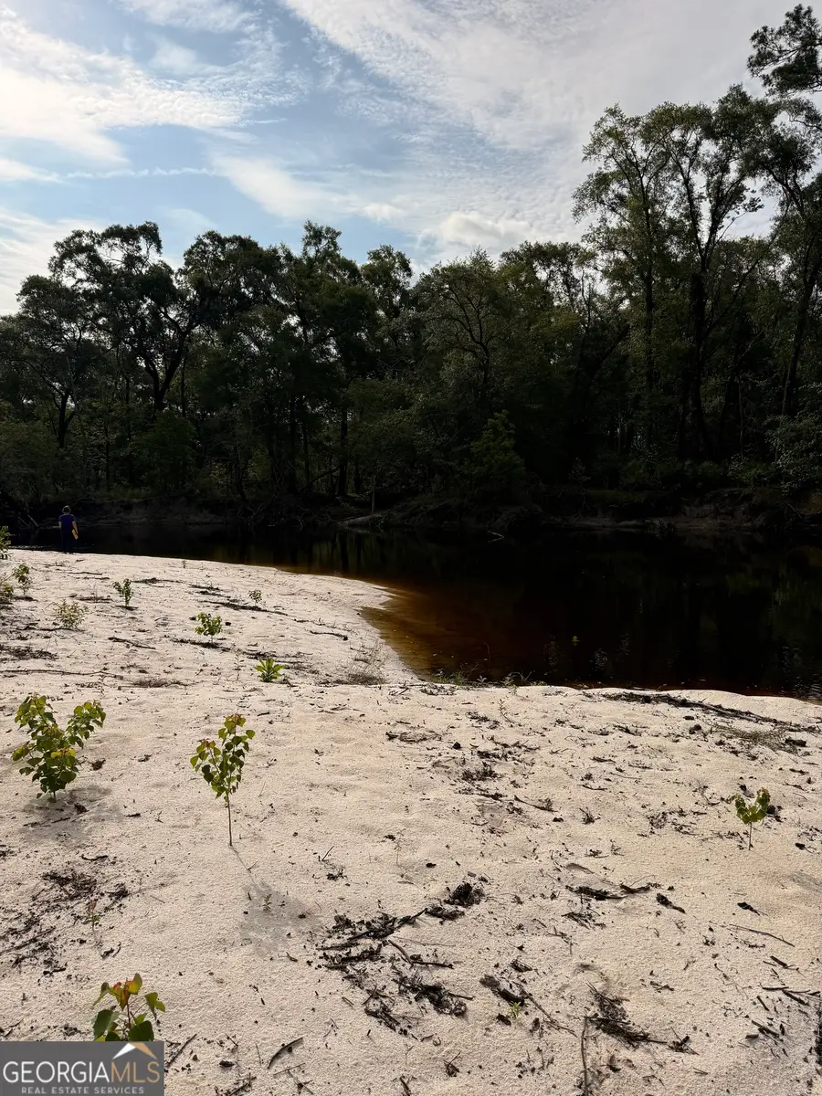 10 ACRES Wildcat Ln - Satilla River, Waycross, GA 31503 - #2