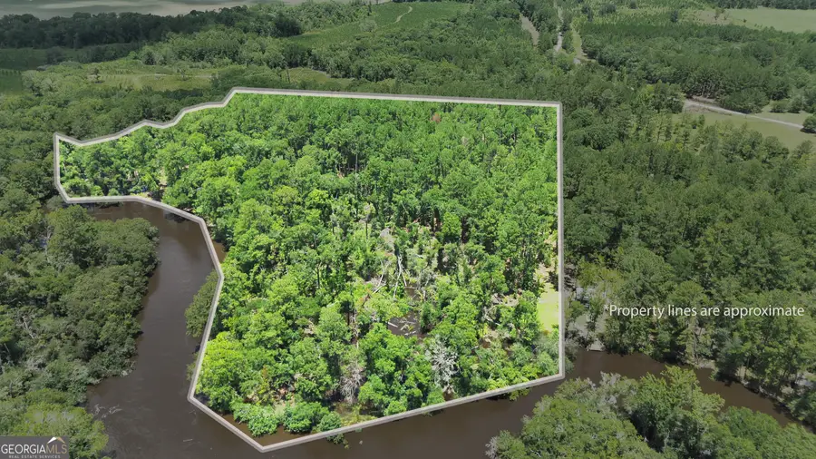 10 ACRES Wildcat Ln - Satilla River, Waycross, GA 31503 - #3