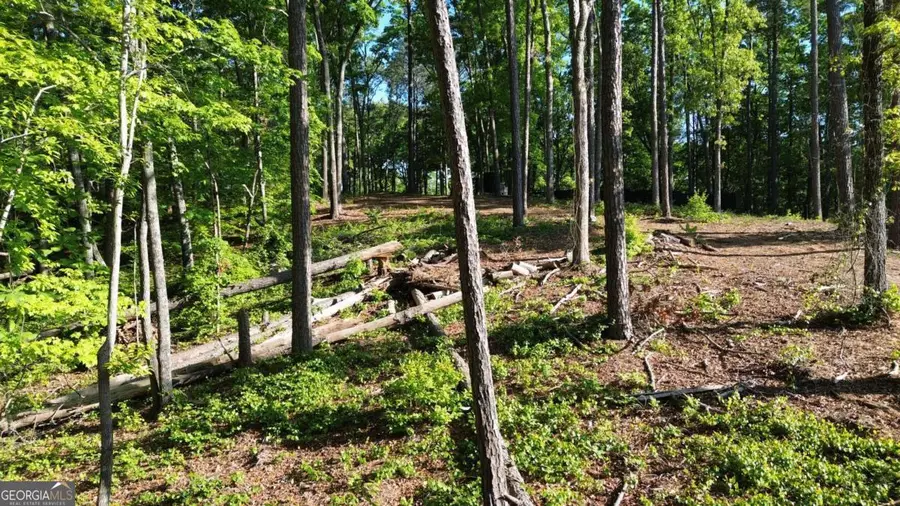 183 Moody Meadows Trail, Canton, GA 30114 - #3
