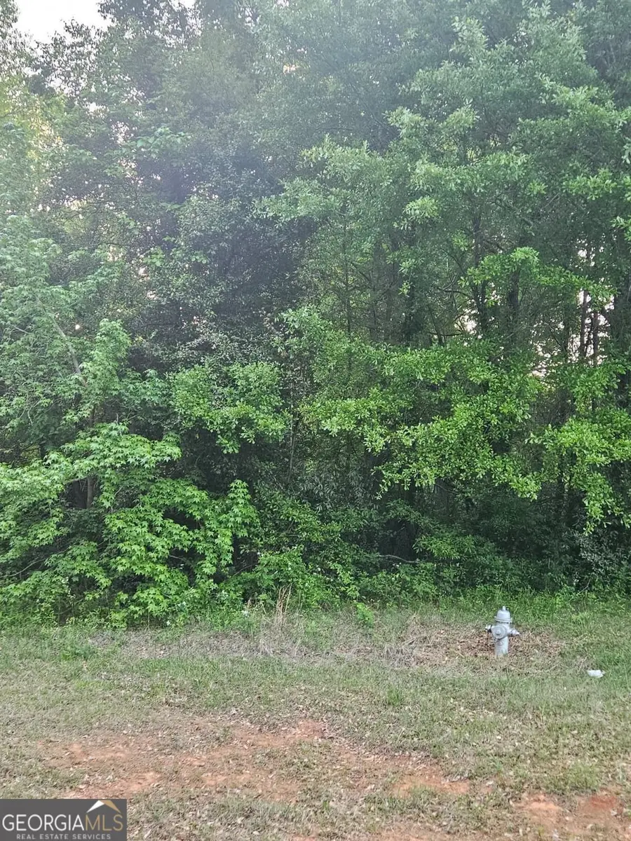 974 W Hemphill Road, Stockbridge, GA 30281 - #3
