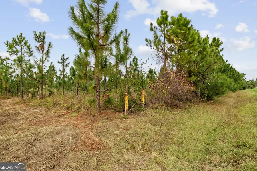 0 Highway 297 #TRACTS 1, 2, 3, 4 & 5, Soperton, GA 30457 - #3