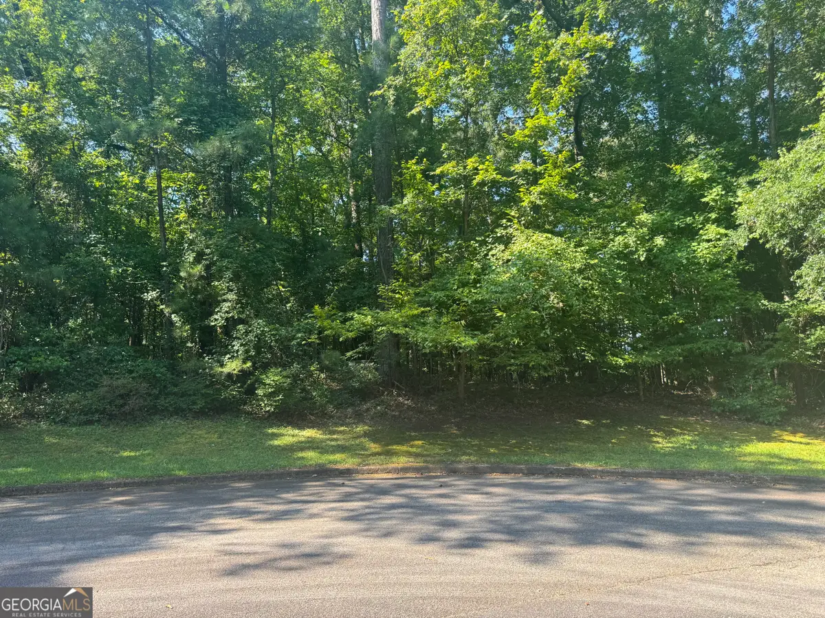 217 Long Cove Drive, Lagrange, GA 30240 - #1