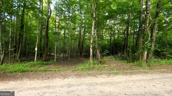 LOT 17 Gordon Road, Forsyth, GA 31029