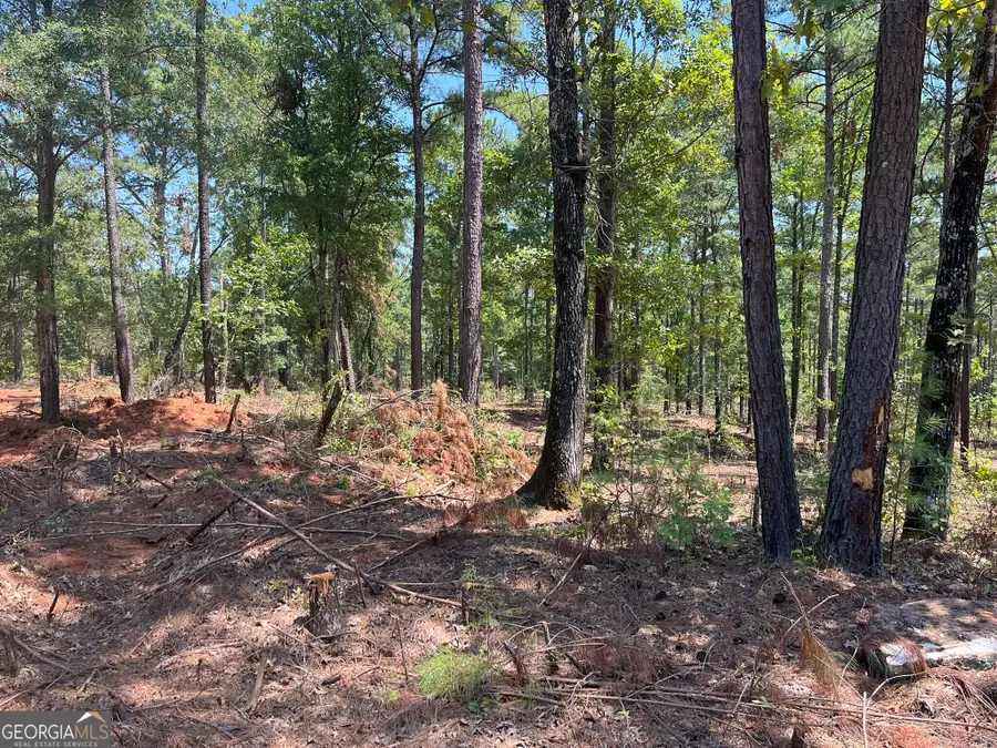 LOT 21 Gordon Road, Forsyth, GA 31029 - #3