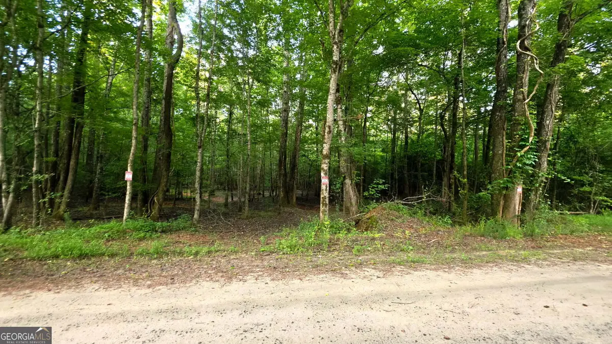 LOT 18 Gordon Road, Forsyth, GA 31029 - #1