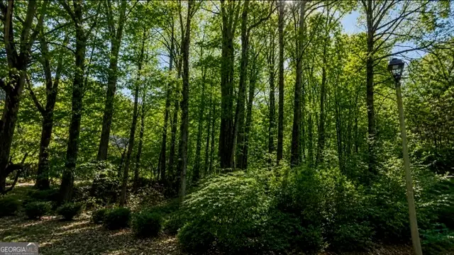 3826 Carriage Gate Drive, Duluth, GA 30096 - #2