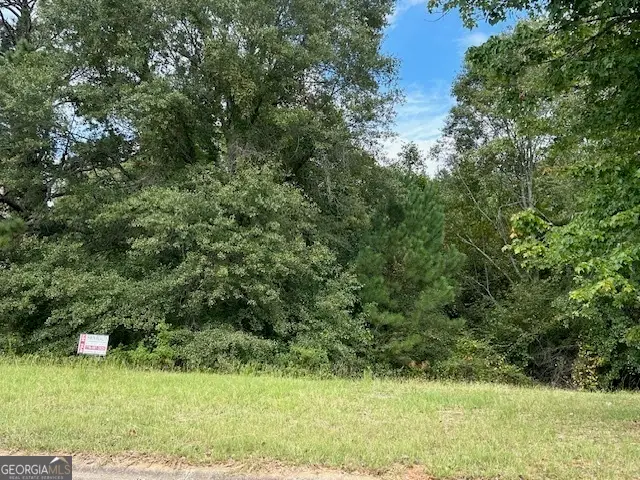 109 Burleyson Drive, McDonough, GA 30253 - #1