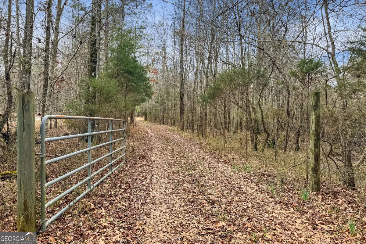 34.61 ACRES Walker Road, Meansville, GA 30256 - #1