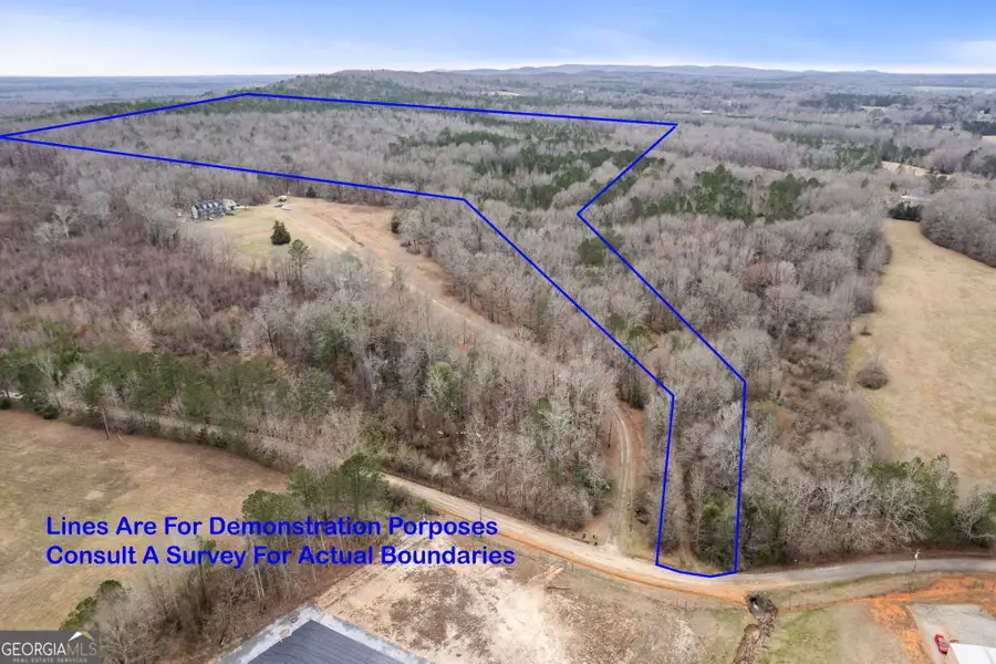 34.61 ACRES Walker Road, Meansville, GA 30256 - #2