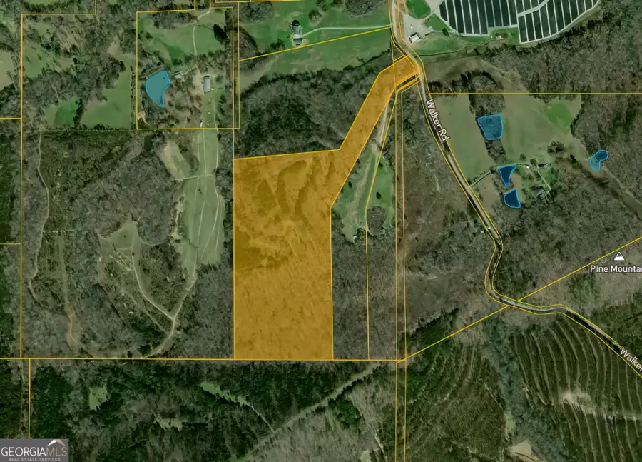 34.61 ACRES Walker Road, Meansville, GA 30256 - #3
